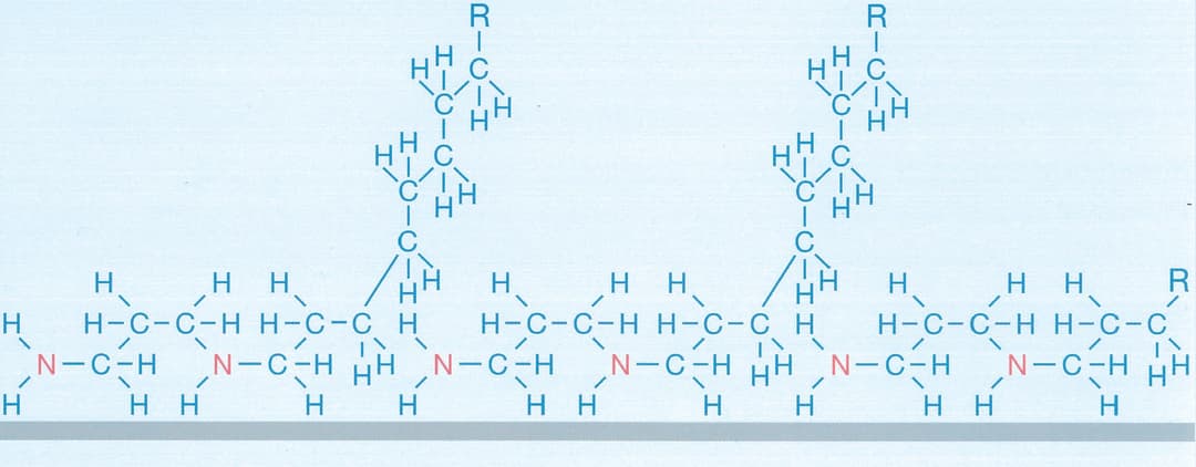 การสร้างฟิล์มด้วยโพลีเอมีน (HELAMIN®)
